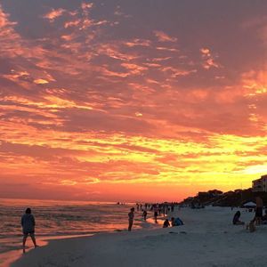 Meet your Posher, Cynthia